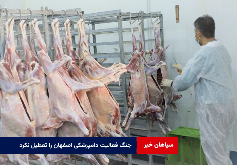 جنگ فعالیت دامپزشکی اصفهان را تعطیل نکرد؛کشف ۵۴تن محصول غیربهداشتی
