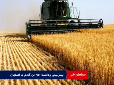 پیش‌بینی برداشت ۲۵۰ تن گندم در اصفهان