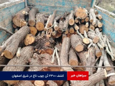 کشف ۲۳۰۰ تُن چوب تاغ در شرق اصفهان؛ ۲ قاچاقچی دستگیر شدند