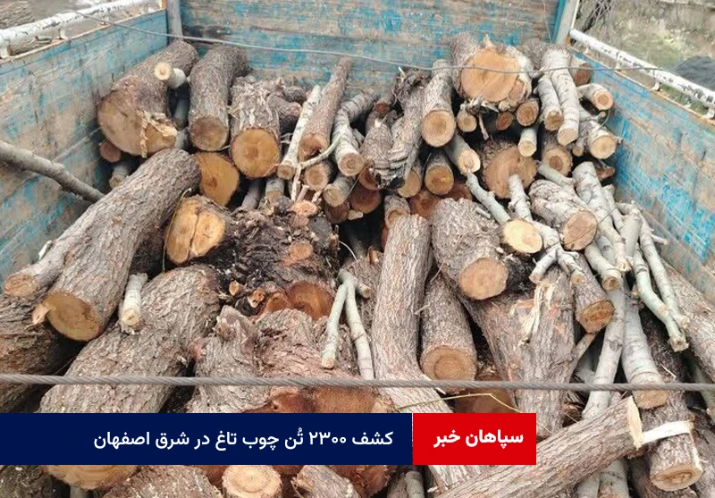 کشف ۲۳۰۰ تُن چوب تاغ در شرق اصفهان؛ ۲ قاچاقچی دستگیر شدند
