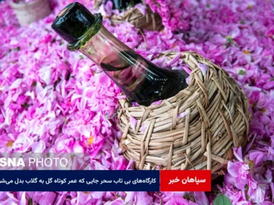 کارگاه‌های بی‌تاب سحر؛ جایی که عمر کوتاه گل به ماندگاری گلاب بدل می‌شود