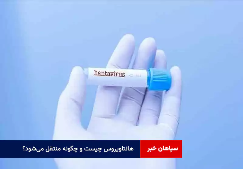 « هانتاویروس » چیست و چگونه منتقل می‌شود؟