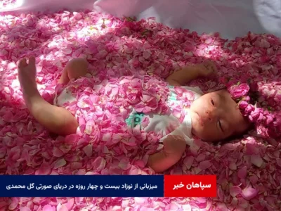 میزبانی از نوزاد بیست و چهار روزه در دریای صورتی گل محمدی