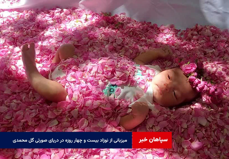 میزبانی از نوزاد بیست و چهار روزه در دریای صورتی گل محمدی