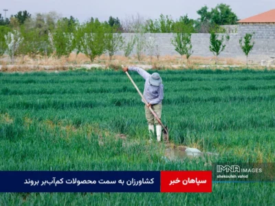 کشاورزان به سمت محصولات کم‌آب‌بر بروند