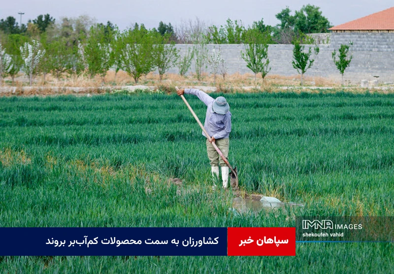 کشاورزان به سمت محصولات کمآببر بروند