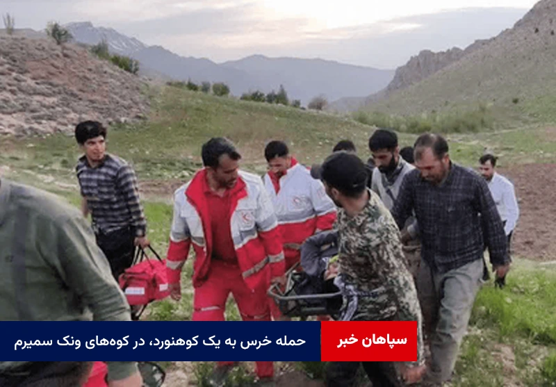 حمله خرس به یک کوهنورد، در کوههای ونک سمیرم
