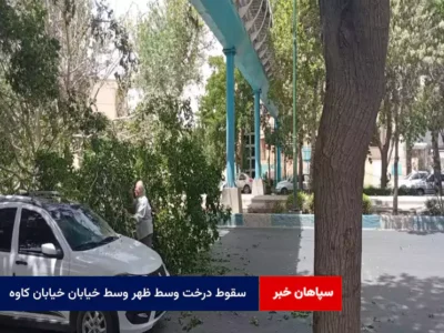 سقوط درخت وسط ظهر وسط خیابان خیابان کاوه