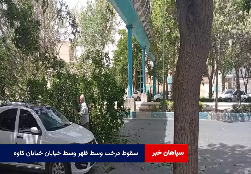 سقوط درخت وسط ظهر وسط خیابان خیابان کاوه