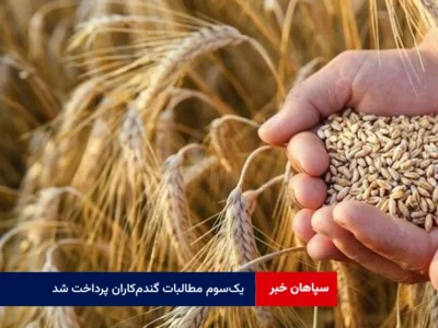 یکسوم مطالبات گندمکاران پرداخت شد