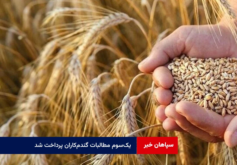 یک‌سوم مطالبات گندم‌کاران پرداخت شد