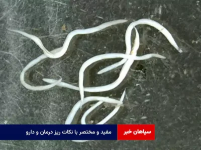 مفید و مختصر با نکات ریز درمان و دارو