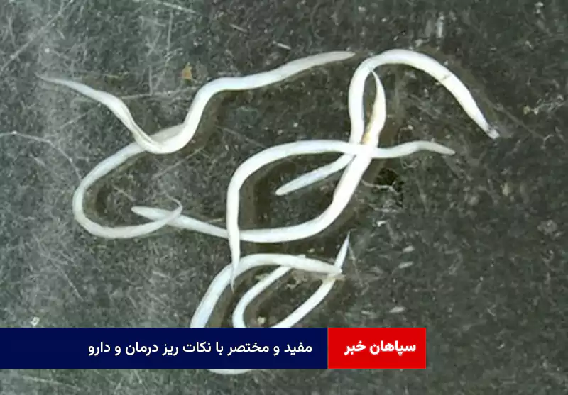 مفید و مختصر با نکات ریز درمان و دارو