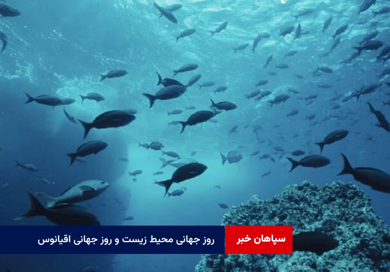 اقدامات اقلیمی، آینده اقیانوسها و اکوسیستمها را تعریف خواهد کرد
