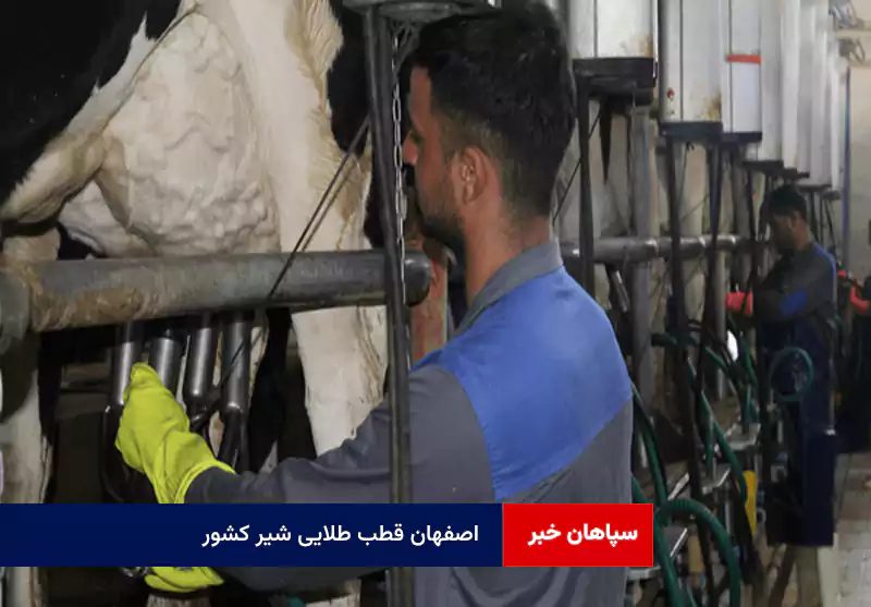 اصفهان قطب طلایی شیر کشور
