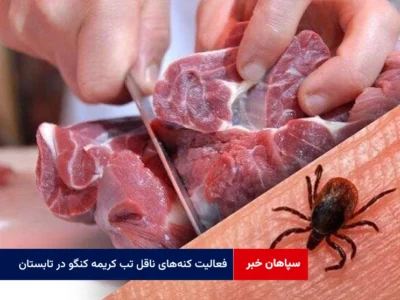 فعالیت کنه‌های ناقل تب کریمه کنگو در تابستان