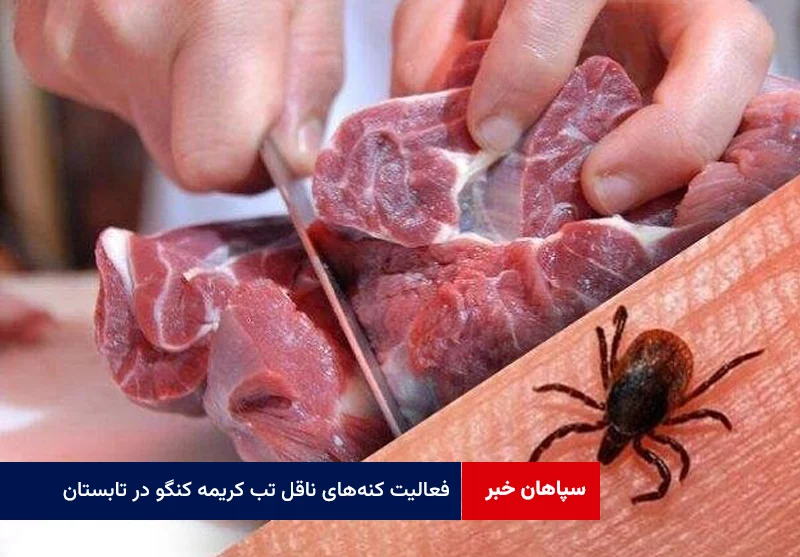 فعالیت کنه‌های ناقل تب کریمه کنگو در تابستان
