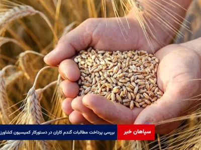 بررسی روند پرداخت مطالبات گندم کاران در دستورکار کمیسیون کشاورزی