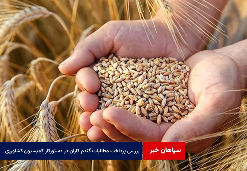 بررسی روند پرداخت مطالبات گندم کاران در دستورکار کمیسیون کشاورزی