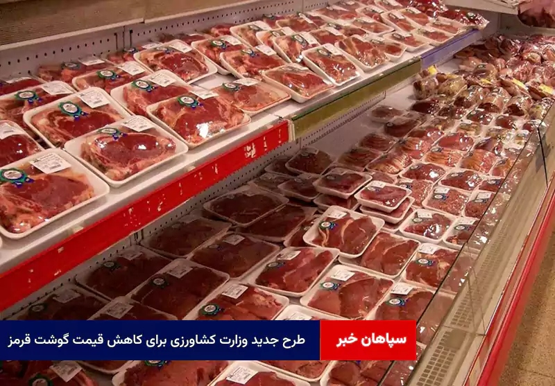طرح جدید وزارت کشاورزی برای کاهش قیمت گوشت قرمز