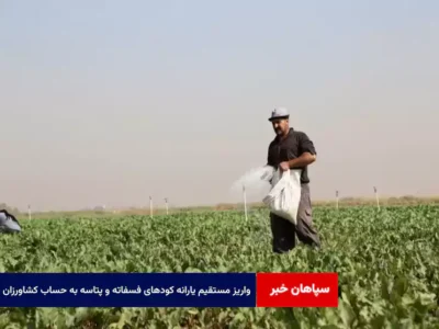 واریز مستقیم یارانه کودهای فسفاته و پتاسه به حساب کشاورزان