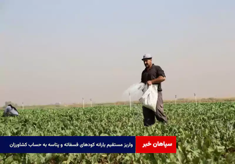 واریز مستقیم یارانه کودهای فسفاته و پتاسه به حساب کشاورزان