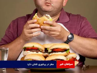 مغز در پرخوری نقش دارد
