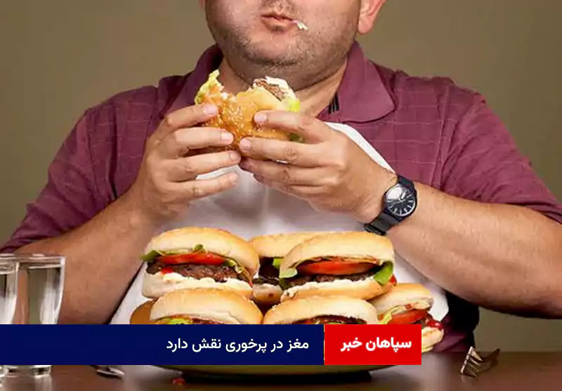 مغز در پرخوری نقش دارد