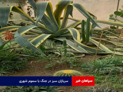 سربازان سبز در جنگ با سموم شهری