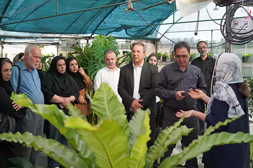 سربازان سبز در جنگ با سموم شهری 1 سربازان سبز در جنگ با سموم شهری