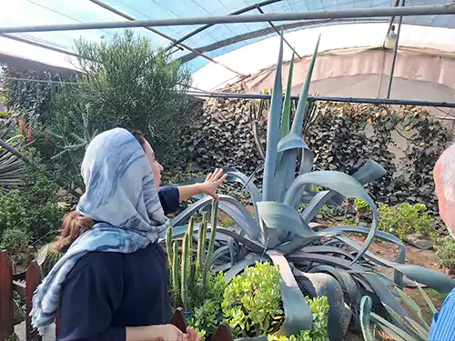 سربازان سبز در جنگ با سموم شهری 2 سربازان سبز در جنگ با سموم شهری