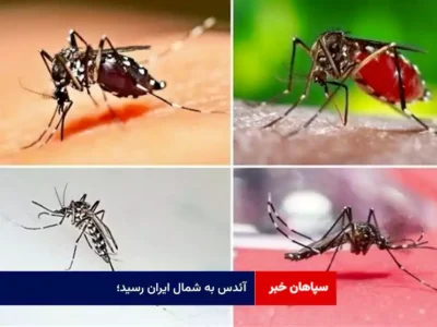 آئدس به شمال ایران رسید؛