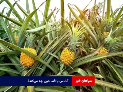 آناناس با قند خون چه می‌کند؟