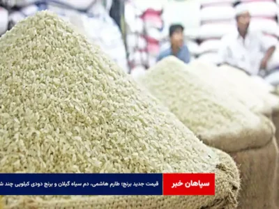 قیمت جدید برنج؛ طارم هاشمی، دم سیاه گیلان و برنج دودی کیلویی چند شد؟