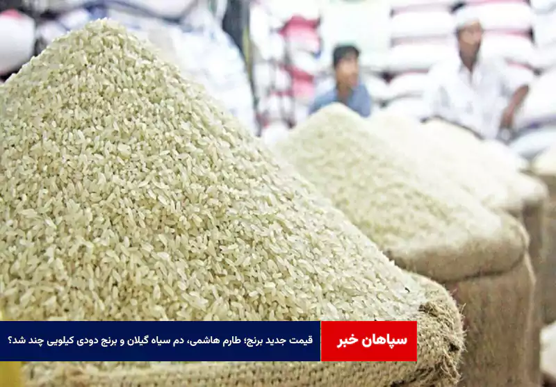 قیمت جدید برنج؛ طارم هاشمی، دم سیاه گیلان و برنج دودی کیلویی چند شد؟