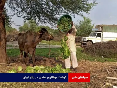 گوشت بوفالوی هندی در بازار ایران