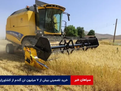 خرید تضمینی بیش از ۷ میلیون تن گندم از کشاورزان