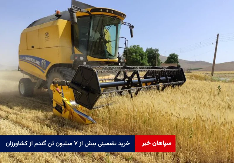 خرید تضمینی بیش از ۷ میلیون تن گندم از کشاورزان