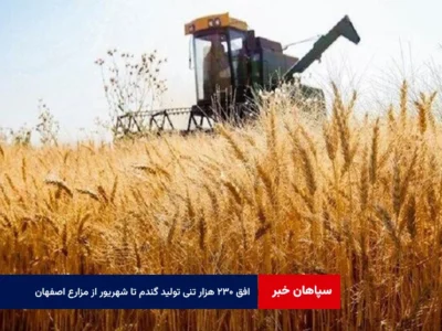 افق ۲۳۰ هزار تنی تولید گندم تا شهریور از مزارع اصفهان