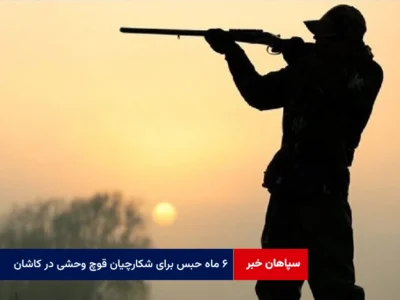 ۶ ماه حبس برای شکارچیان قوچ وحشی در کاشان