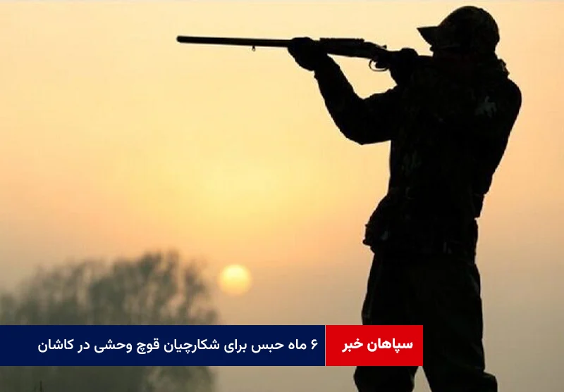 ۶ ماه حبس برای شکارچیان قوچ وحشی در کاشان