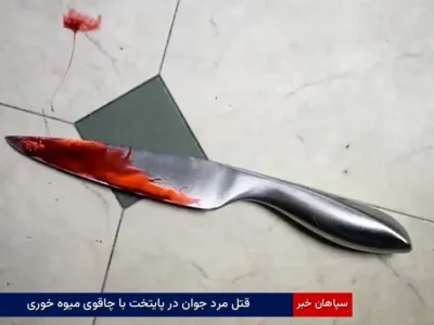 قتل مرد جوان در پایتخت با چاقوی میوه خوری