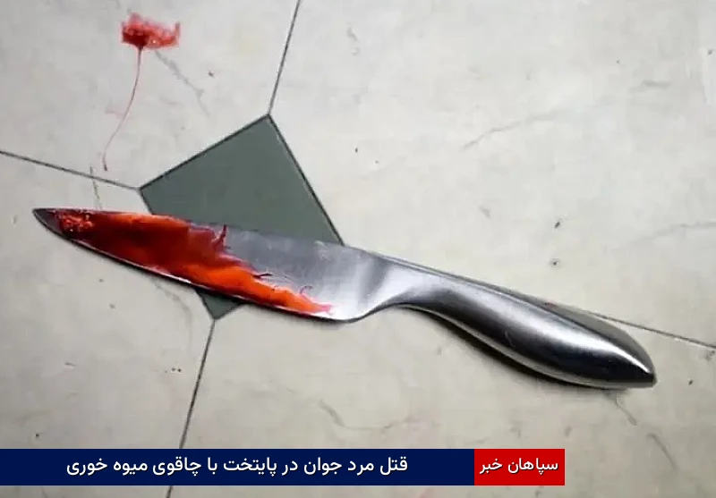 قتل مرد جوان در پایتخت با چاقوی میوه خوری