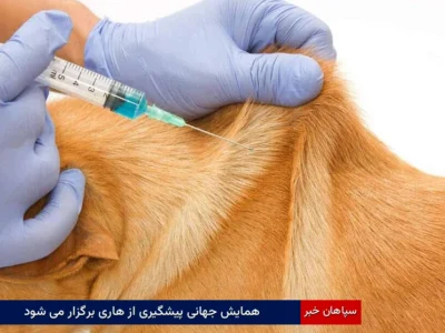 همایش جهانی پیشگیری از هاری برگزار می شود