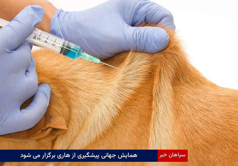 همایش جهانی پیشگیری از هاری برگزار می شود