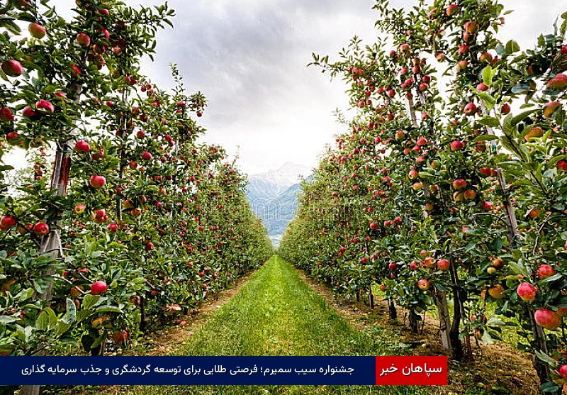 جشنواره سیب سمیرم؛ فرصتی طلایی برای توسعه گردشگری و جذب سرمایهگذاری