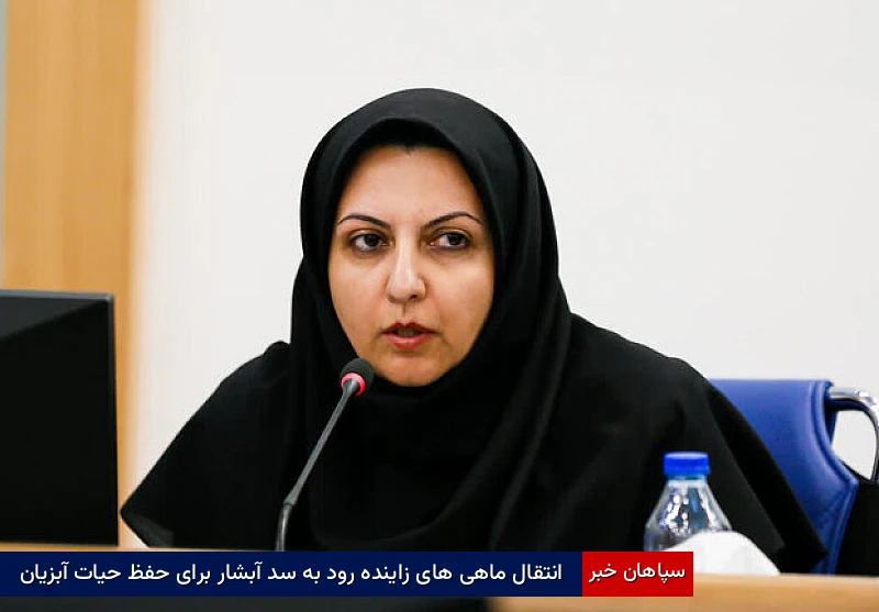 انتقال ماهیهای زایندهرود به سد آبشار برای حفظ حیات آبزیان