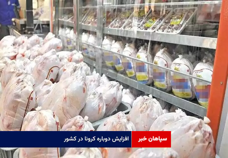 سایه مازاد تولید بر سر مرغداران و فشار گرانی بر دوش مصرف‌کننده اصفهانی