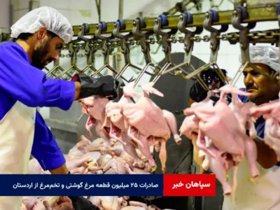 صادرات ۲۵ میلیون قطعه مرغ گوشتی و بیش از ۶ هزار تن تخم‌مرغ از اردستان در دولت چهاردهم