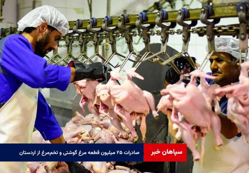 صادرات ۲۵ میلیون قطعه مرغ گوشتی و بیش از ۶ هزار تن تخم‌مرغ از اردستان در دولت چهاردهم